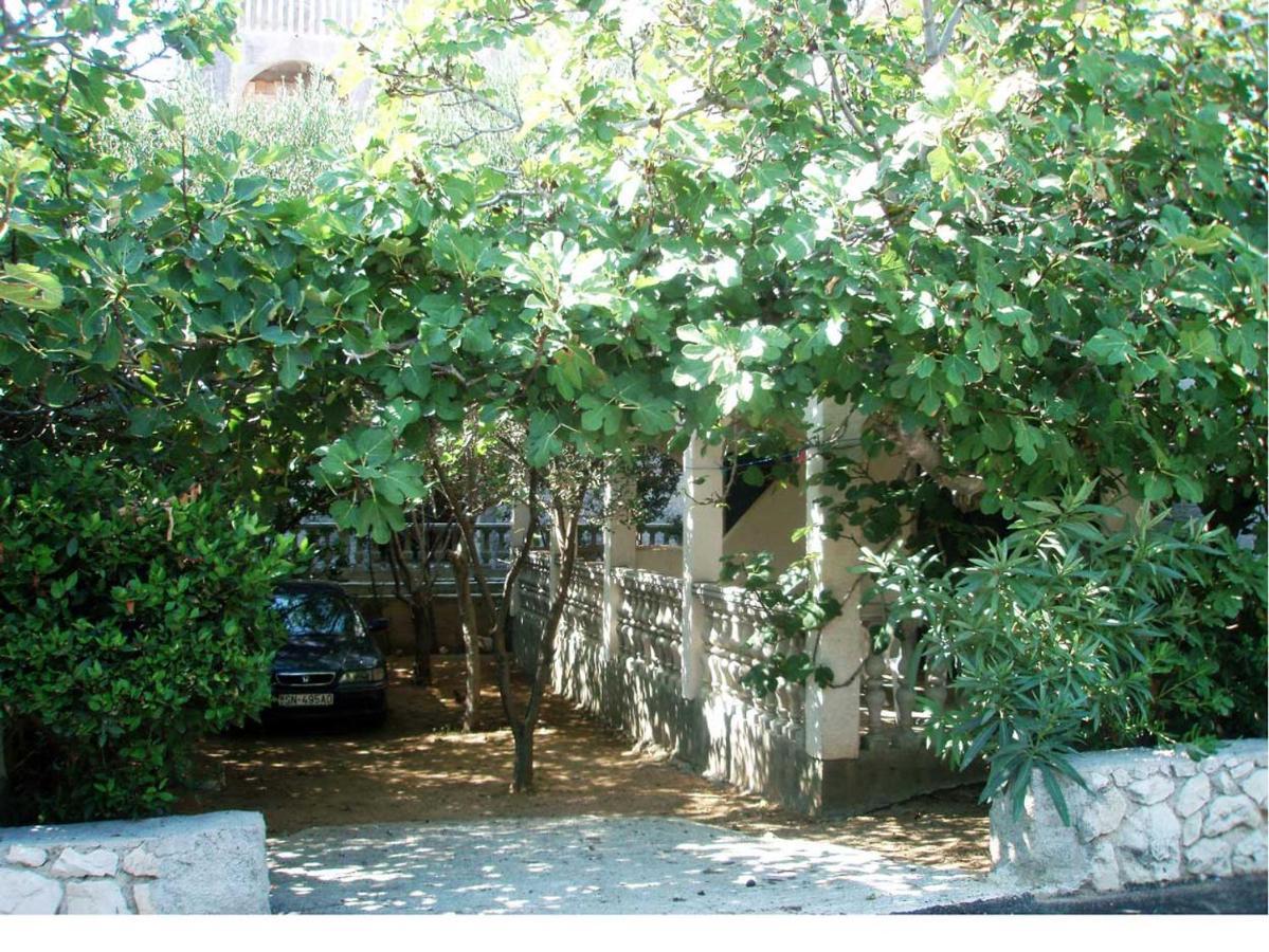 Apartments Mint Povljana - 50M From Sandy Beach Exterior photo