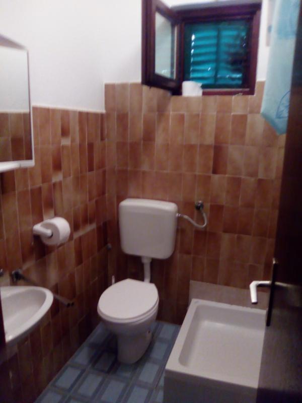 Apartments Mint Povljana - 50M From Sandy Beach Exterior photo