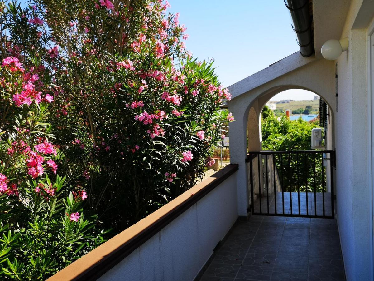 Apartments Mint Povljana - 50M From Sandy Beach Exterior photo